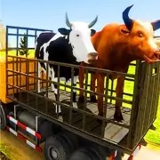 Animal Transport Truck D...