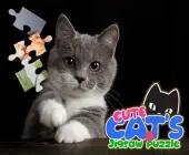 Cute Cats Jigsaw Puzzle