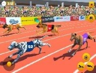 Dog Race Sim 2020: Dog R...