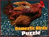 Domestic Birds Puzzle