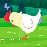 Funny Chicken